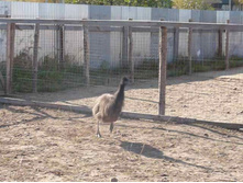 ����� ������, �����...�