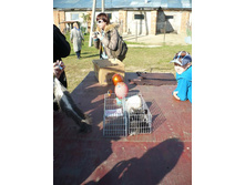 ���������� ����