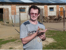 ���������� ������ ��������