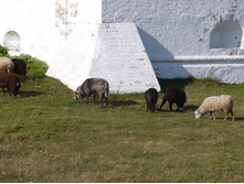 �������