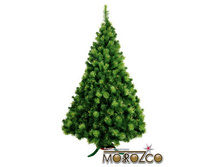 ����������.