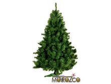 ���������. �������