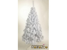 ��������.