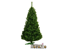 ����������.