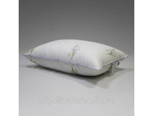 ������� �������� ���� �������.jpg