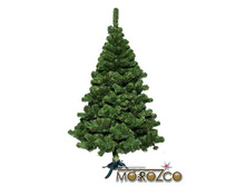 ���������.