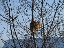 �� ������.JPG