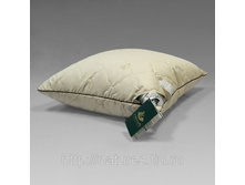 ������� ��� ������� �������.jpg