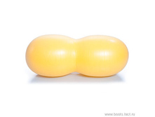 ���� 1564 ���.