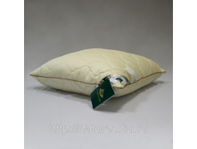 ������� ������� ������ �������.jpg