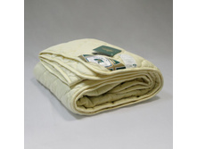 ������ ������� ������ ����������� ��������.jpg