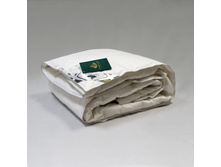 ������ ������ ������ �������� �����������.jpg