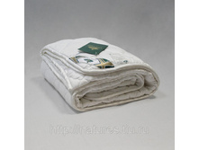 ������ ��������� ������ �������� ������.jpg