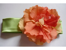 ������� ��� �������