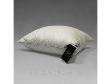 ������� ����������� ������� ������� ��������� (����� �������� �� ������).jpg