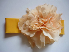 ������� ��� �������