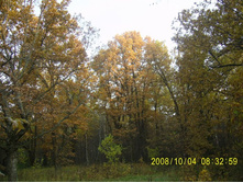 12.10.2008 23:36:11