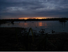 DSC05918.JPG