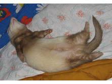 �� ���� �! ޣ ��������....