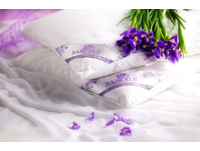 ������� Classic