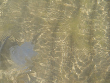 ����������� 145.jpg