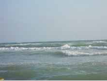 ����������� 271.jpg