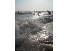 ����������� 291.jpg