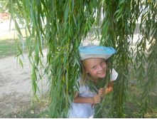 ����������� 343.jpg