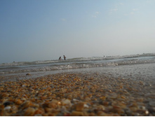 ����������� 345.jpg