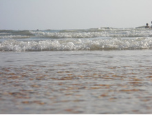 ����������� 354.jpg