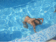 ����������� 417.jpg