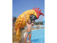 ����������� 437.jpg