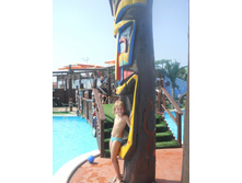 ����������� 446.jpg