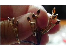 DSCN2601 �����.jpg