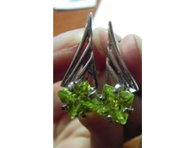 DSCN2609 �����.jpg