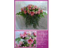 ����� .jpg