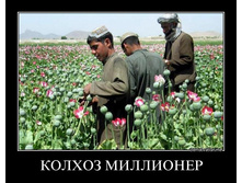 demotivator-047 (1).jpg