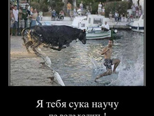 demotivator-050 (1).jpg