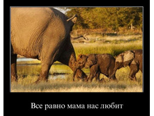 demotivator-013 (1).jpg