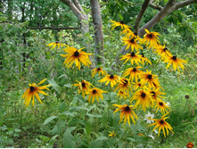 �������� ������������ ������� �� 30 ���.