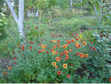 ���������� ����� ������� �� 80 ���.