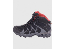 1550 ���., ������� 42, 43