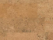 Casta. 1195���./�2+%