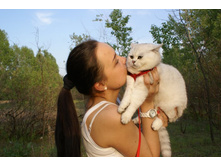 �������, ���������