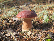 ����������� 009.jpg