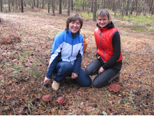 ����������� 006.jpg