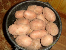 ���������� �������.