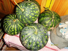 ��������� ��������.JPG