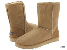 PB-1221 3968 ���.