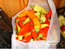 ��������� ���� ������.JPG